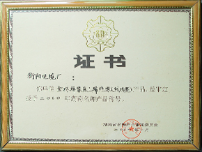 2000年度湖南名牌產(chǎn)品稱號 1.JPG