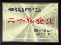 2007年度全市規(guī)模工業(yè)二十強企業(yè)（2006年）.JPG