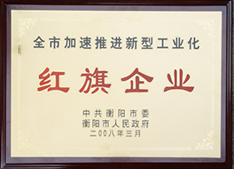 2008年度全市加速推進新型工業(yè)化紅旗企業(yè).JPG
