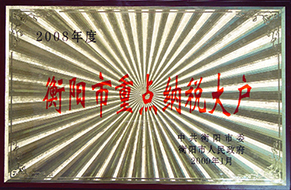 2009年度衡陽市重點納稅大戶（2008年）.JPG
