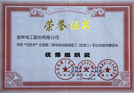 2011年度“寶勝杯”全國第二屆電線電纜制造工（拉線工）職業(yè)技能競賽團體優(yōu)秀組織獎.jpg
