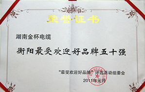 2011年度衡陽市最受歡迎好品牌五十強2.jpg