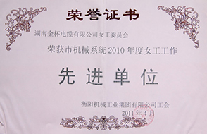 2011年度市機械系統(tǒng)女工工作先進單位（2010年）.jpg