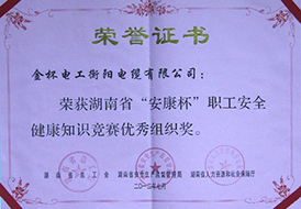2012年度湖南省“安康杯”職工安全健康知識競賽優(yōu)秀組織獎.jpg