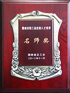 2012年度湖南省職工高技能人才培養(yǎng)名師獎.jpg