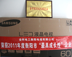 2012年度全市最具成長性企業(yè)（2011年）1.jpg