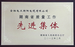 2013年度湖南省質(zhì)量工作先進集體.jpg