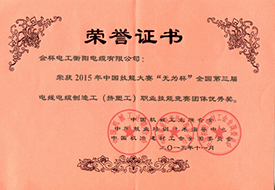 2015年度職業(yè)技能優(yōu)秀獎證書.jpg